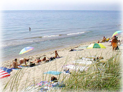 Ocean Bay Park